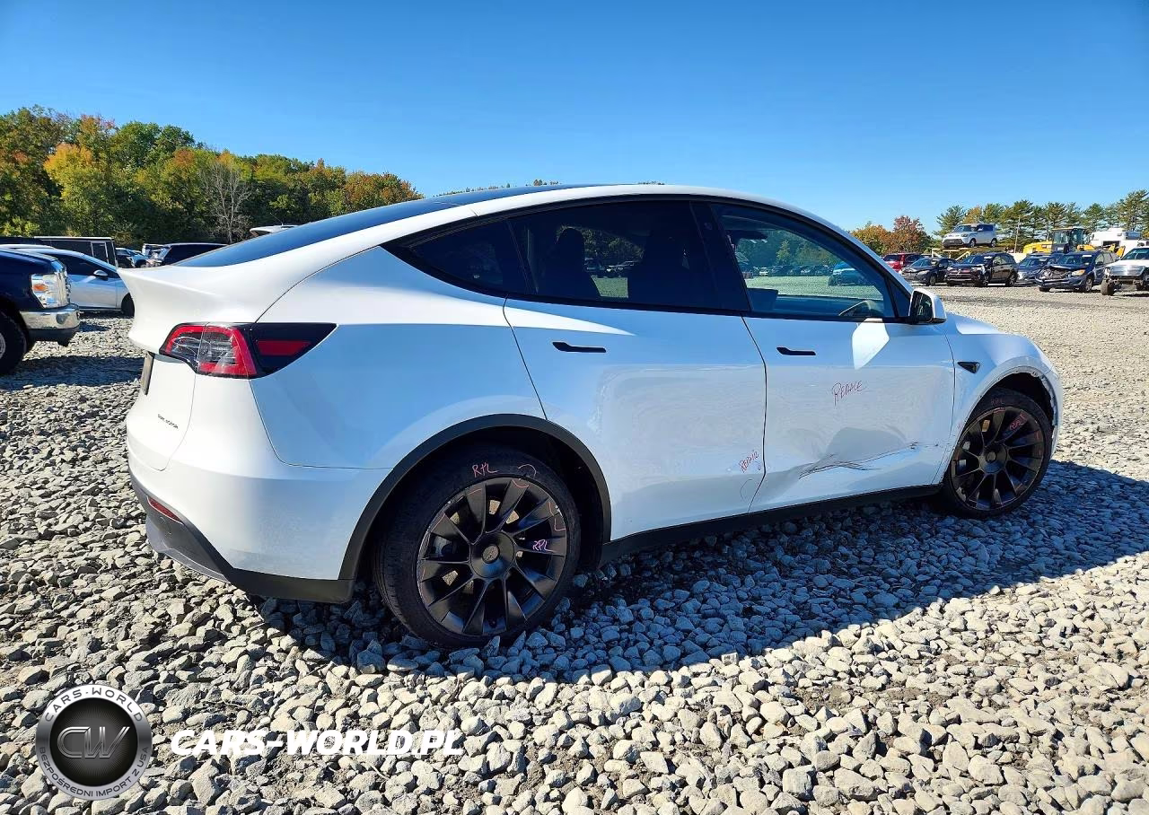 2023 Tesla Model Y VIN:7SAYGDEE7PA059519 - 3