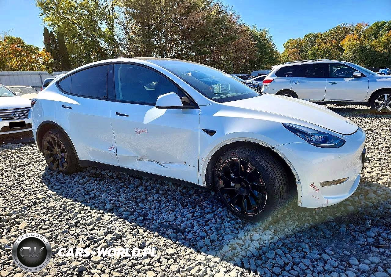 2023 Tesla Model Y VIN:7SAYGDEE7PA059519 - 4