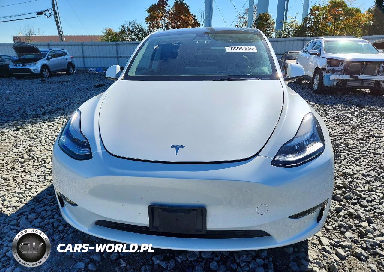 2023 Tesla Model Y VIN:7SAYGDEE7PA059519 - 5
