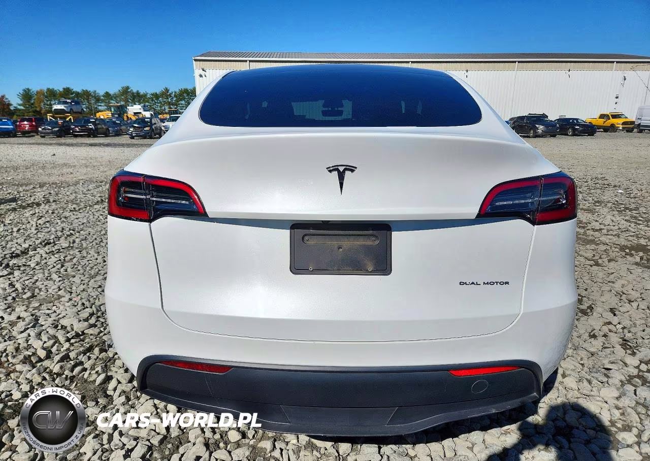 2023 Tesla Model Y VIN:7SAYGDEE7PA059519 - 6