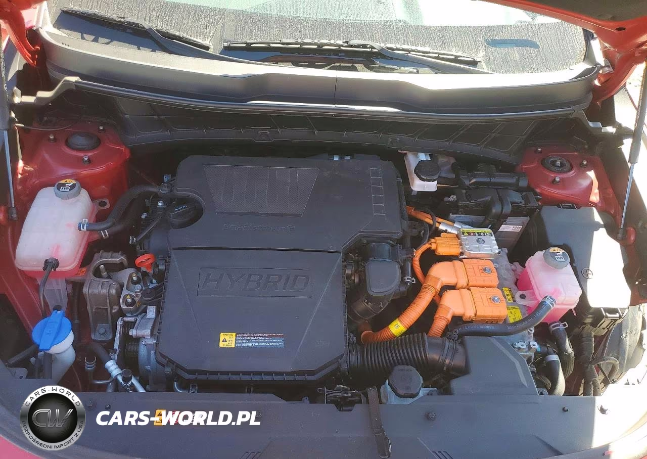 2024 Kia Niro Ex VIN:KNDCR3LE9R5158011 - 11
