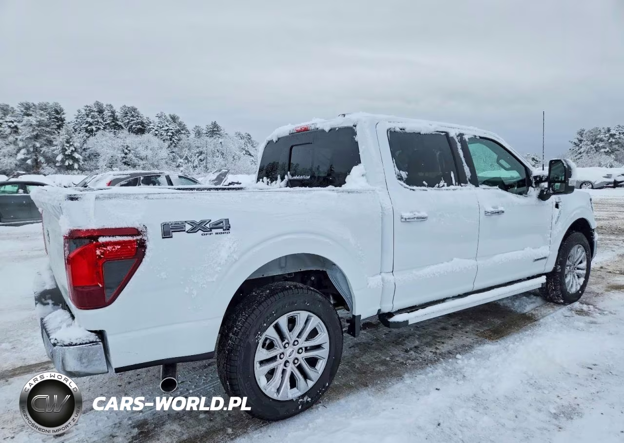 2025 Ford F150 Xlt VIN:1FTFW3LD2SFA52593 - 3