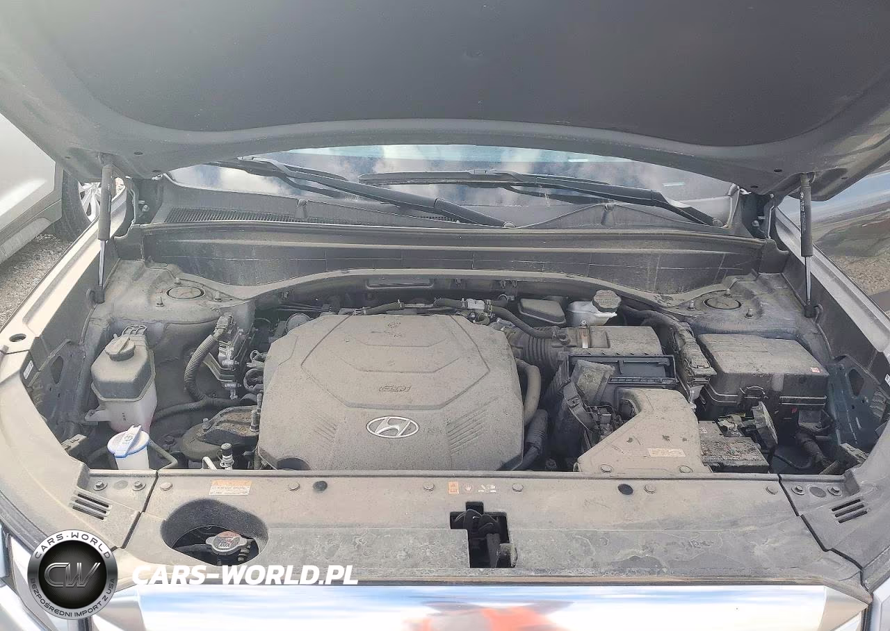 2024 Hyundai Palisade Calligraphy VIN:KM8R7DGE4RU688145 - 12