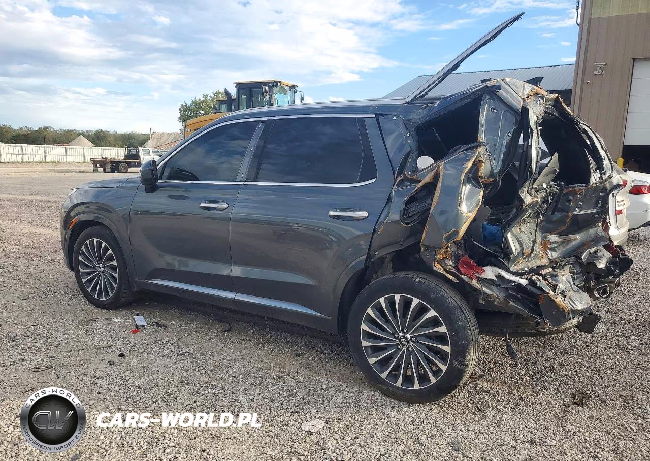 2024 Hyundai Palisade Calligraphy VIN:KM8R7DGE4RU688145 - 2