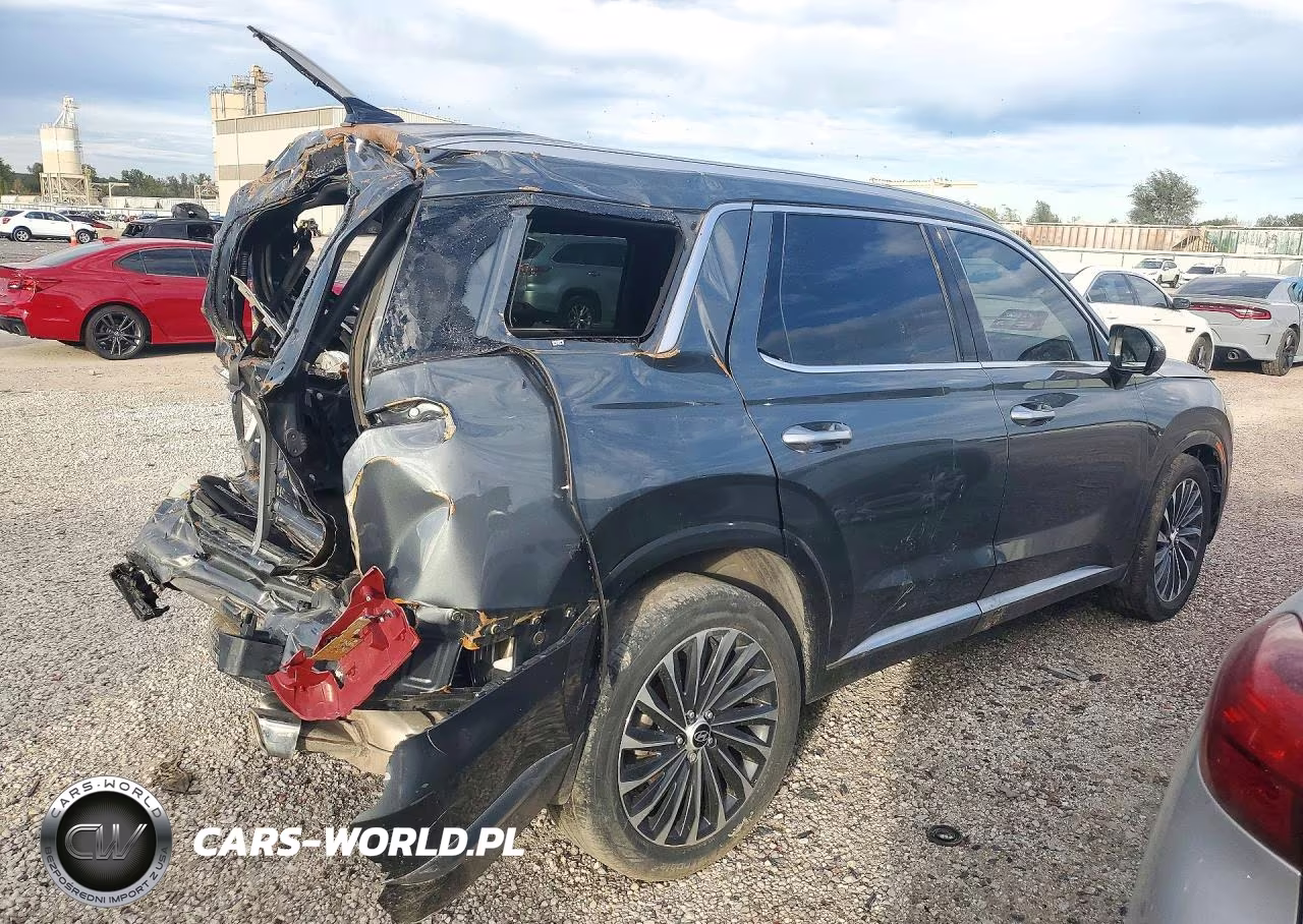 2024 Hyundai Palisade Calligraphy VIN:KM8R7DGE4RU688145 - 3