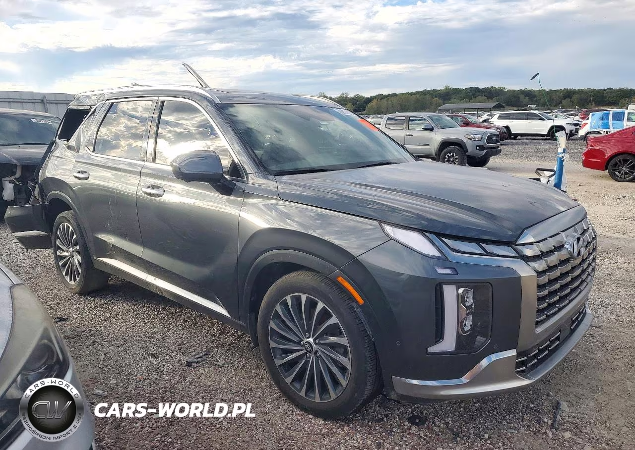 2024 Hyundai Palisade Calligraphy VIN:KM8R7DGE4RU688145 - 4