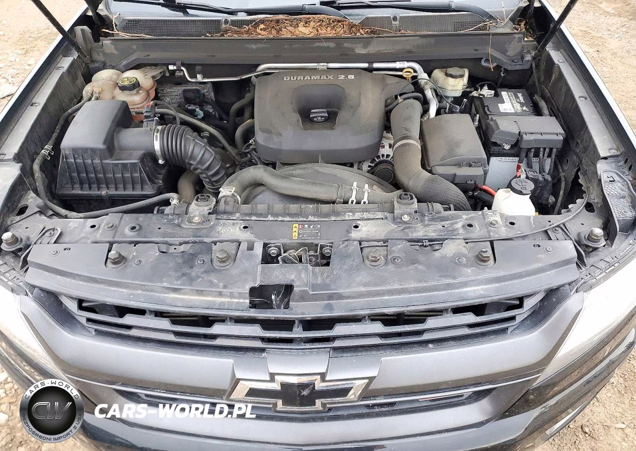 2017 Chevrolet Colorado Z71 VIN:1GCPTDE17H1236875 - 11