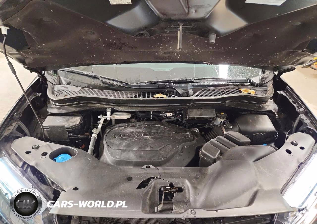 2023 Honda Passport Trail Sport VIN:5FNYF8H60PB023556 - 12