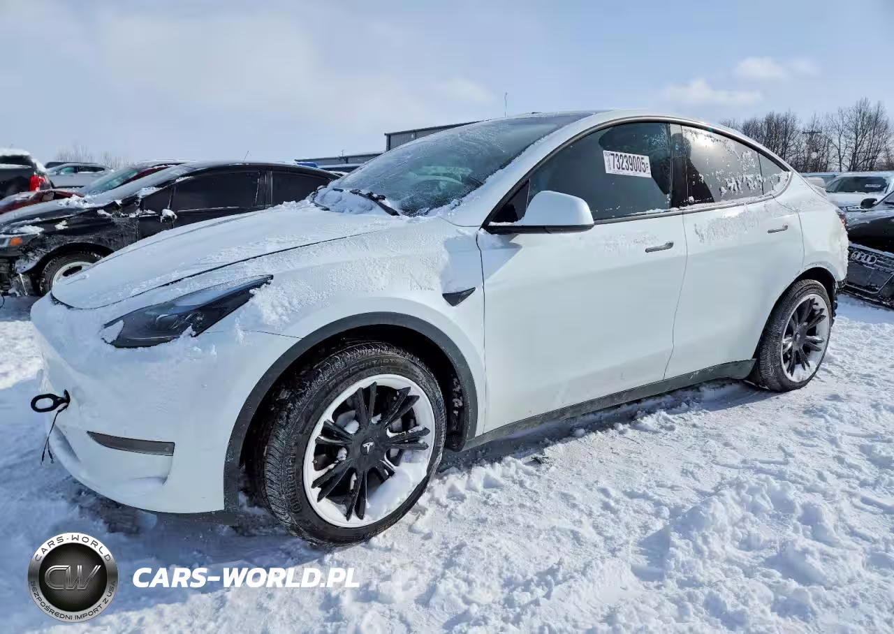 2024 Tesla Model Y