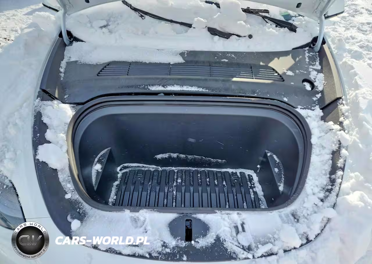 2024 Tesla Model Y VIN:7SAYGDEDXRF186701 - 11