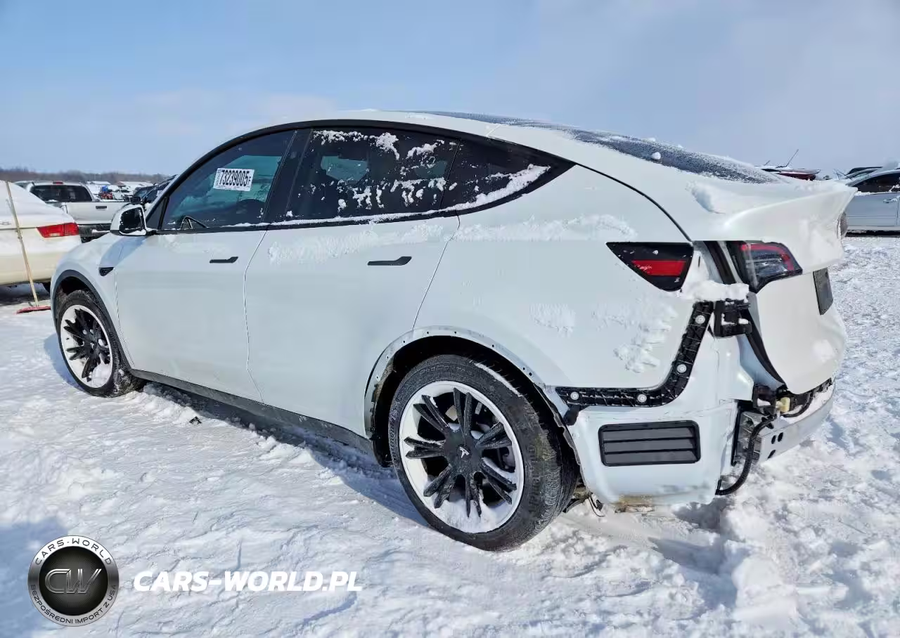 2024 Tesla Model Y VIN:7SAYGDEDXRF186701 - 2