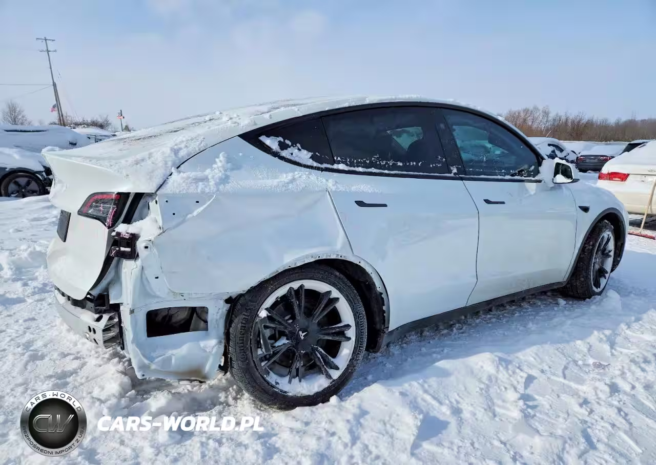2024 Tesla Model Y VIN:7SAYGDEDXRF186701 - 3