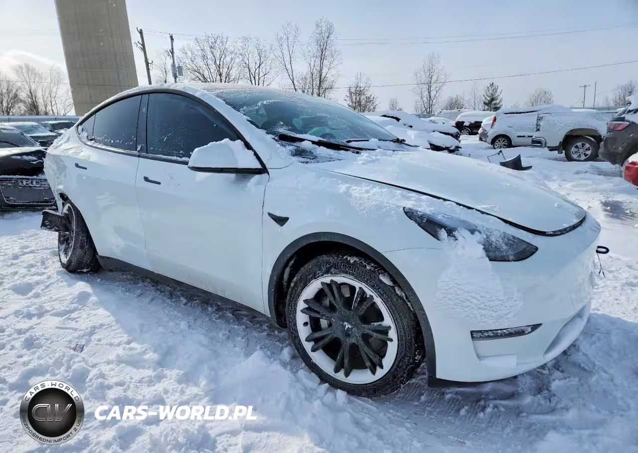 2024 Tesla Model Y VIN:7SAYGDEDXRF186701 - 4
