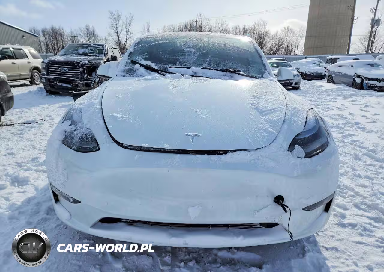 2024 Tesla Model Y VIN:7SAYGDEDXRF186701 - 5