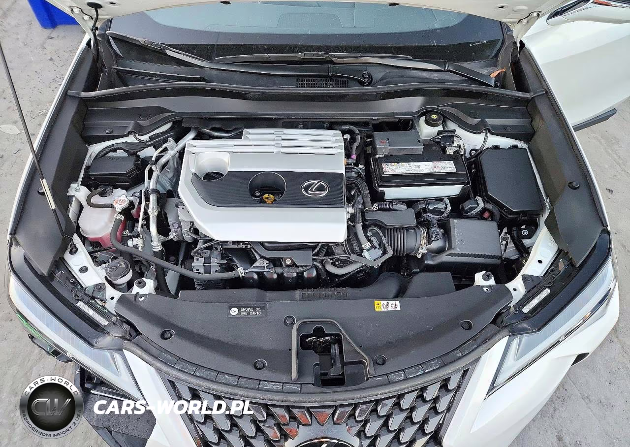 2022 Lexus Ux 200 Base VIN:JTHX3JBH9N2054180 - 12