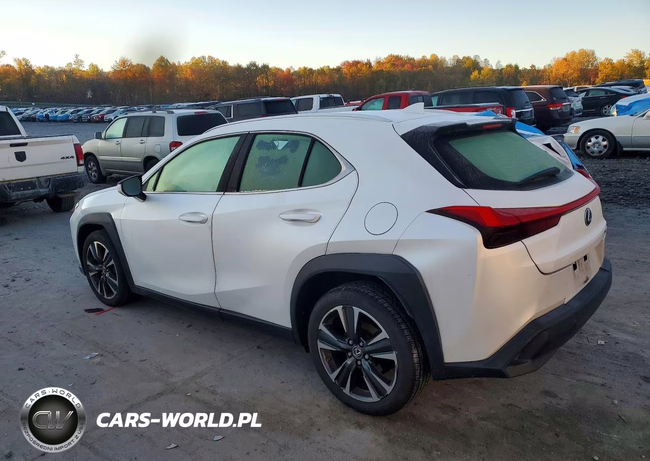 2022 Lexus Ux 200 Base VIN:JTHX3JBH9N2054180 - 2