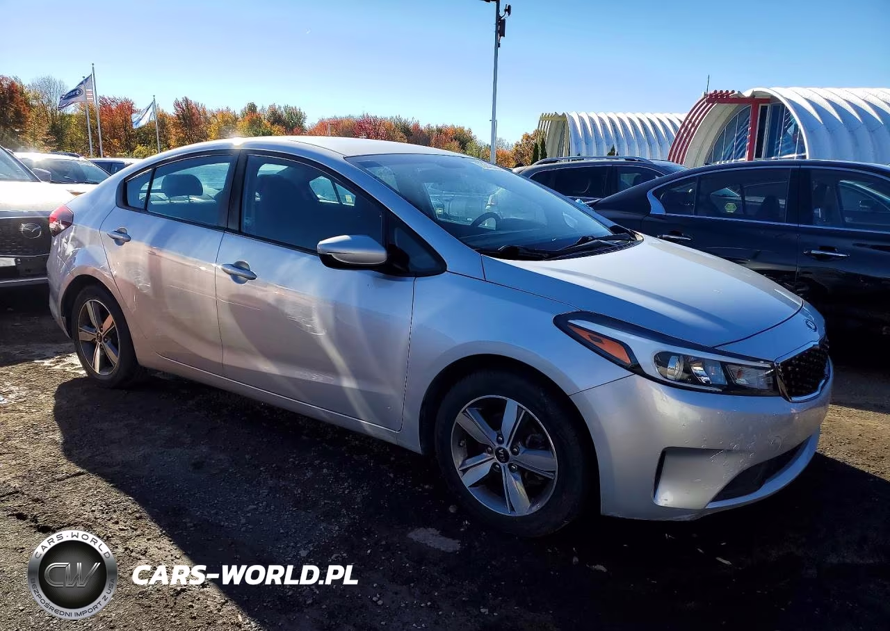 2018 Kia Forte Lx VIN:3KPFL4A73JE195248 - 4