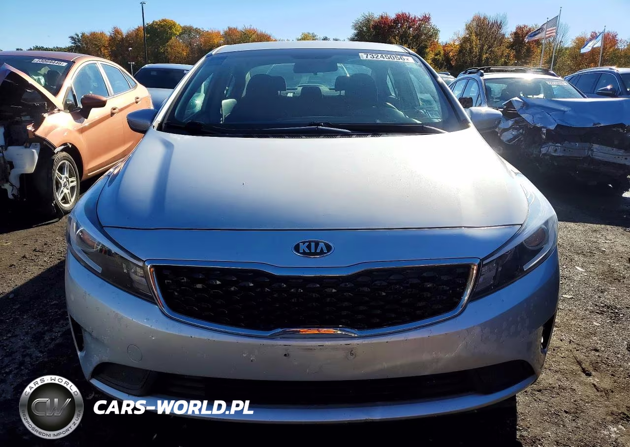 2018 Kia Forte Lx VIN:3KPFL4A73JE195248 - 5