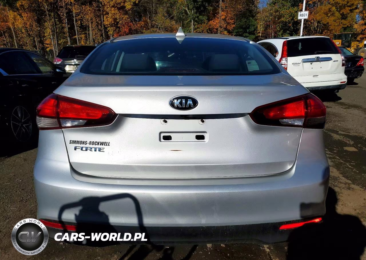 2018 Kia Forte Lx VIN:3KPFL4A73JE195248 - 6