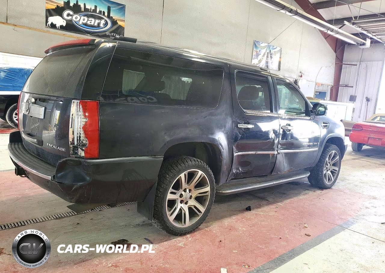 2009 Cadillac Escalade Esv Luxury VIN:1GYFK262X9R176288 - 3