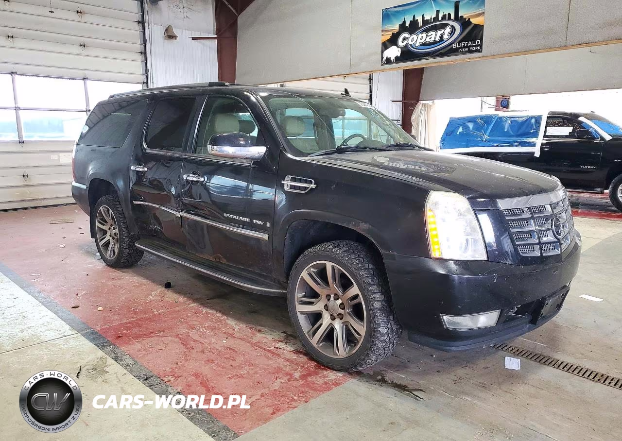 2009 Cadillac Escalade Esv Luxury VIN:1GYFK262X9R176288 - 4