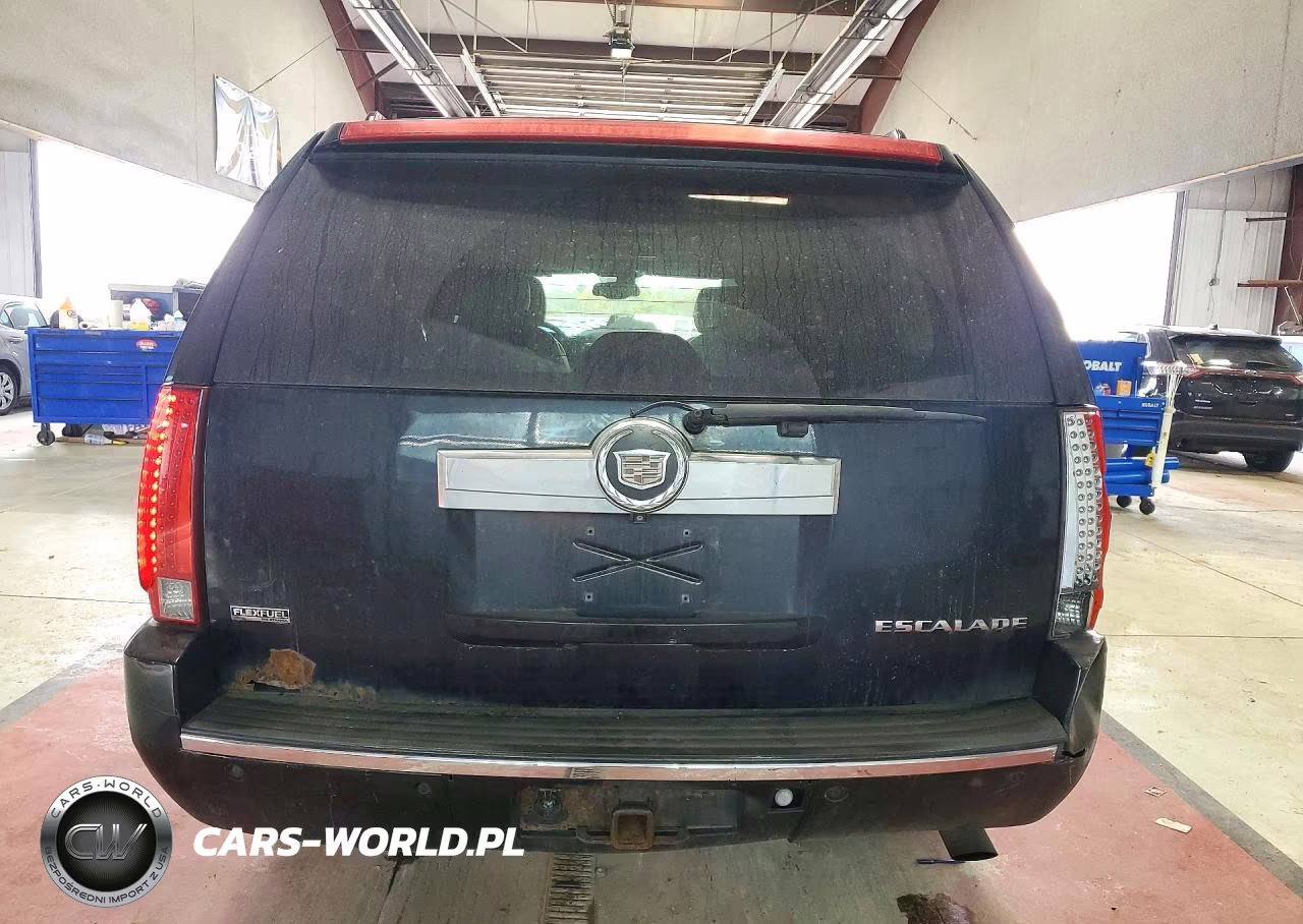 2009 Cadillac Escalade Esv Luxury VIN:1GYFK262X9R176288 - 6
