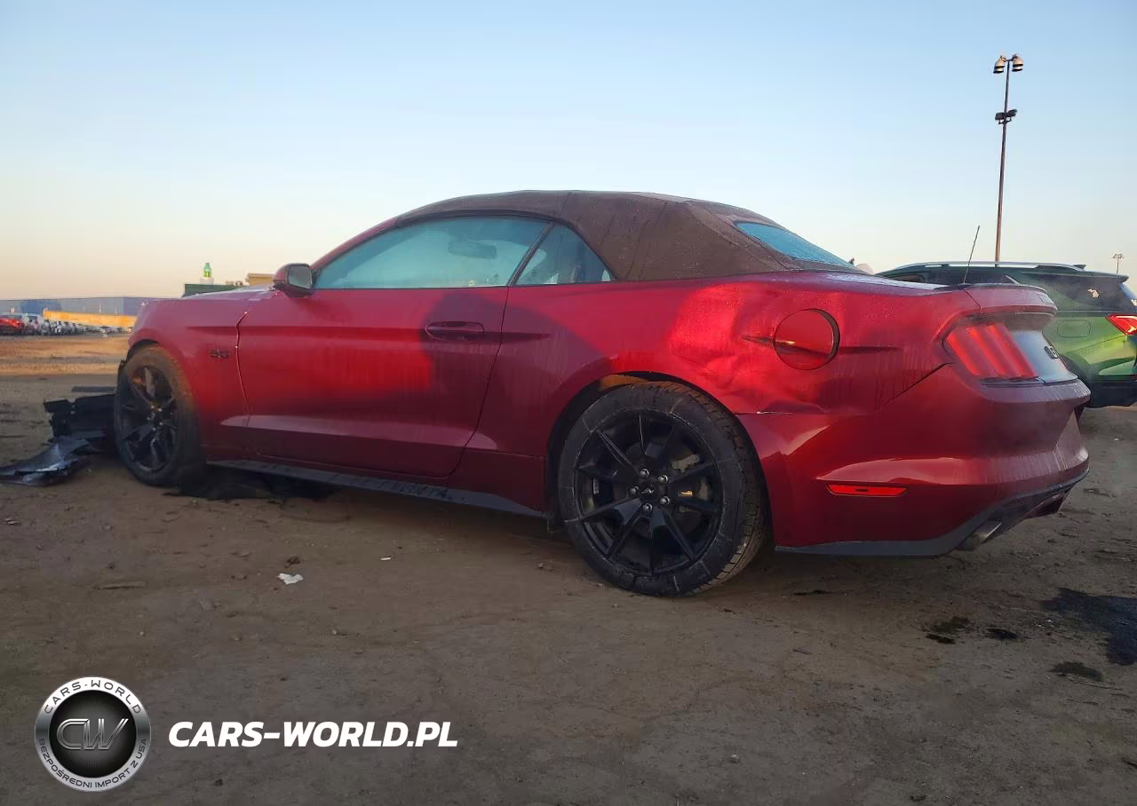 2017 Ford Mustang Gt VIN:1FATP8FF5H5234996 - 2
