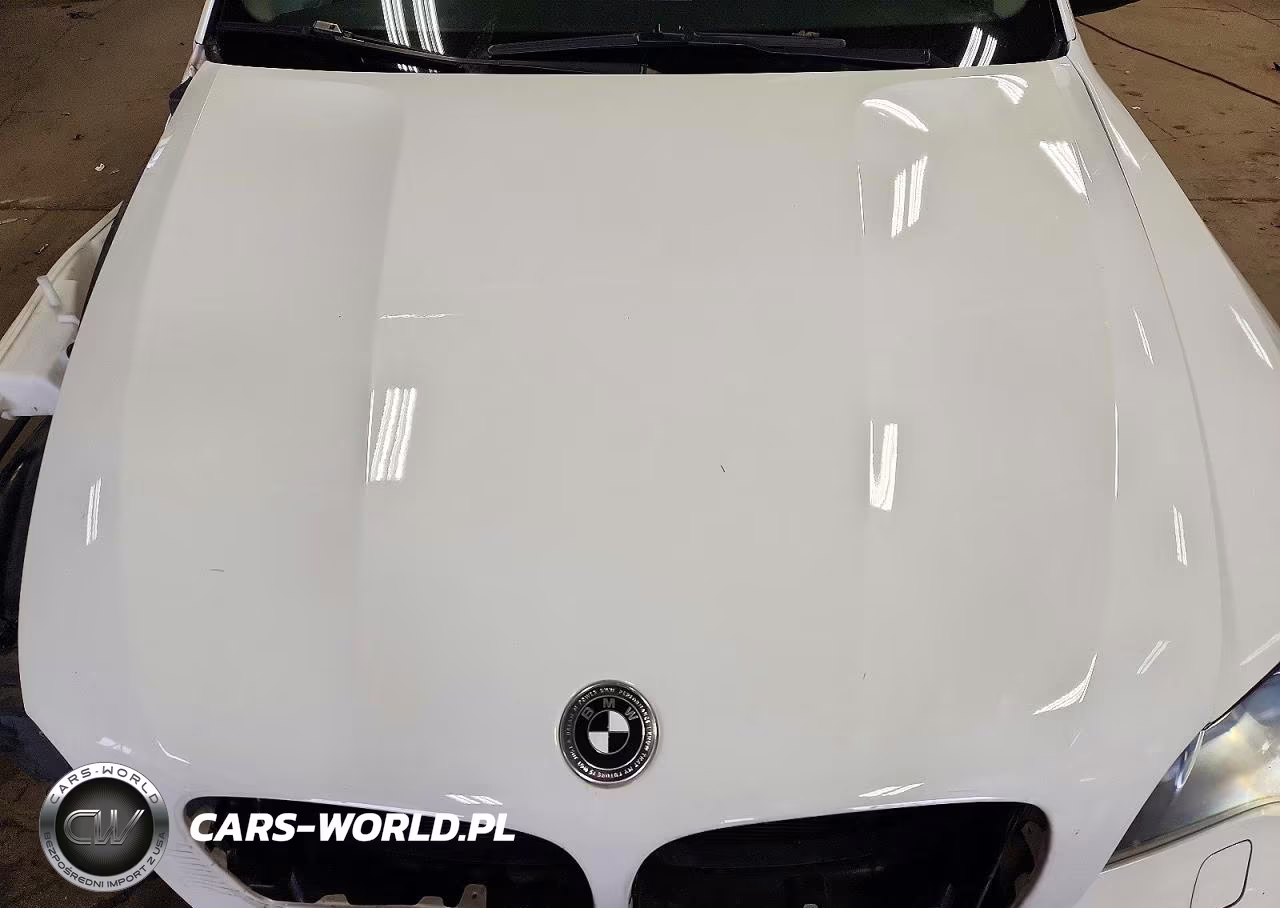 2014 BMW X6 xDrive35I VIN:5UXFG2C53E0K41663 - 12