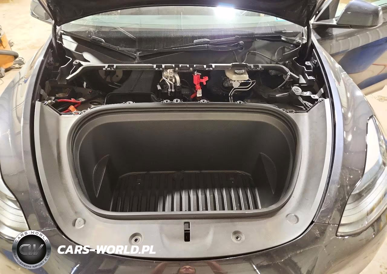 2024 Tesla Model Y VIN:7SAYGDEEXRF991008 - 11