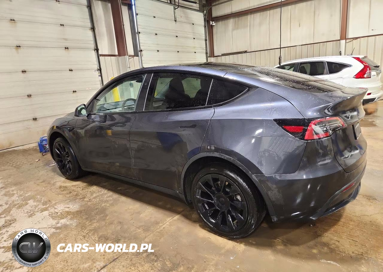 2024 Tesla Model Y VIN:7SAYGDEEXRF991008 - 2