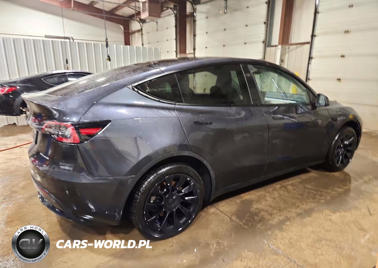 2024 Tesla Model Y VIN:7SAYGDEEXRF991008 - 3