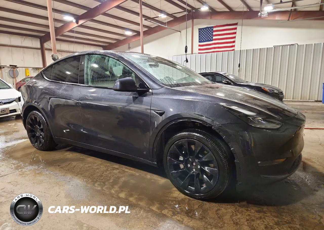 2024 Tesla Model Y VIN:7SAYGDEEXRF991008 - 4