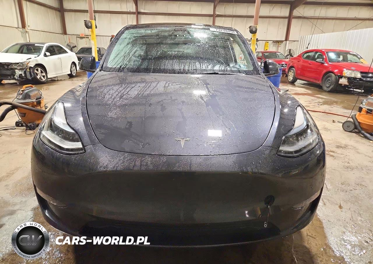 2024 Tesla Model Y VIN:7SAYGDEEXRF991008 - 5