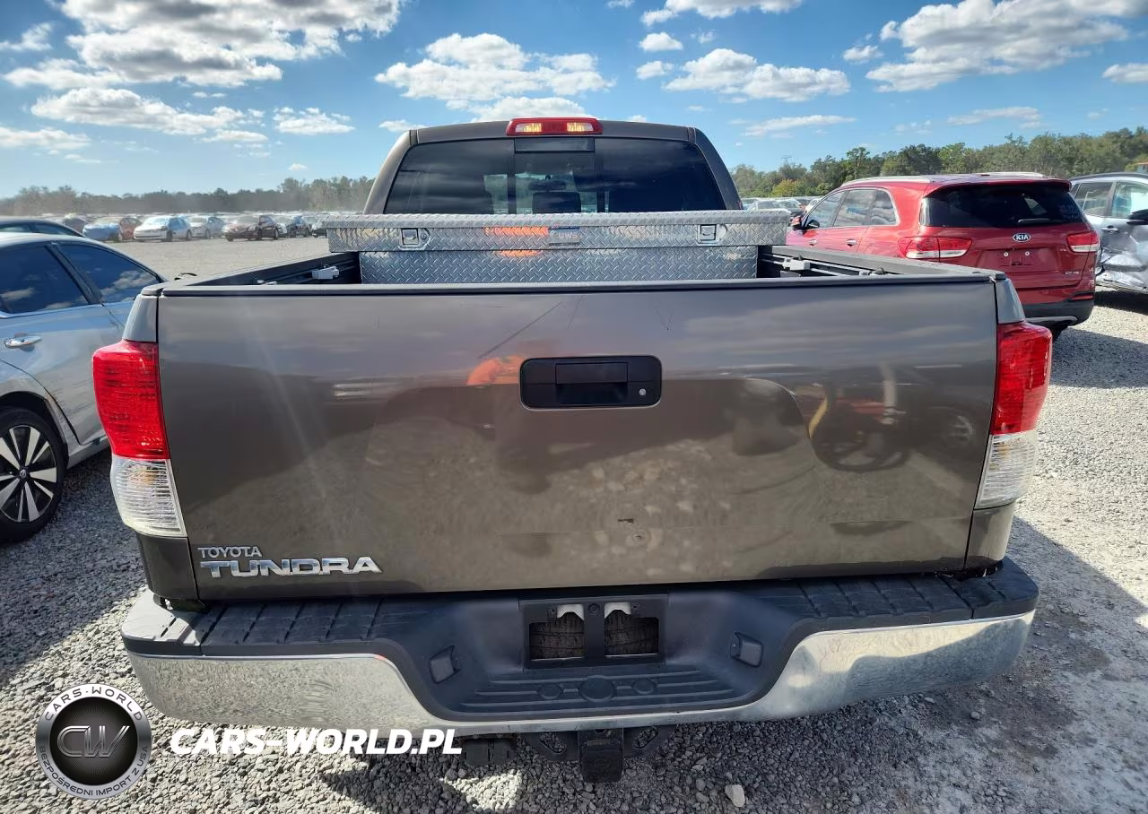 2010 Toyota Tundra Double Cab Sr5 VIN:5TFRM5F13AX008854 - 6