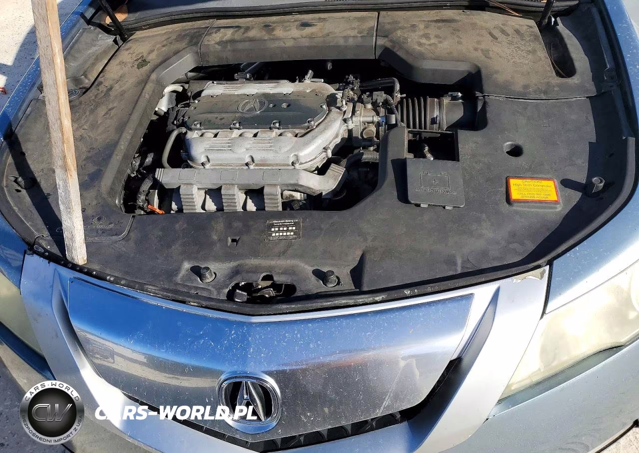 2009 Acura Tl VIN:19UUA865X9A026145 - 11
