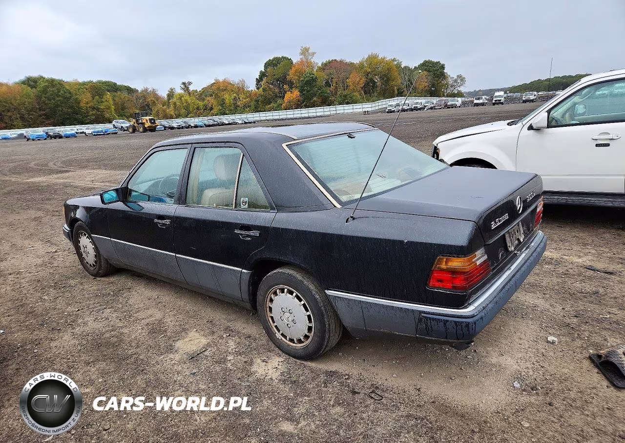 1990 Mercedes-Benz 300 D VIN:WDBEB28D6LB251969 - 2