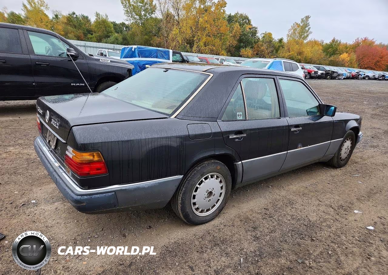 1990 Mercedes-Benz 300 D VIN:WDBEB28D6LB251969 - 3