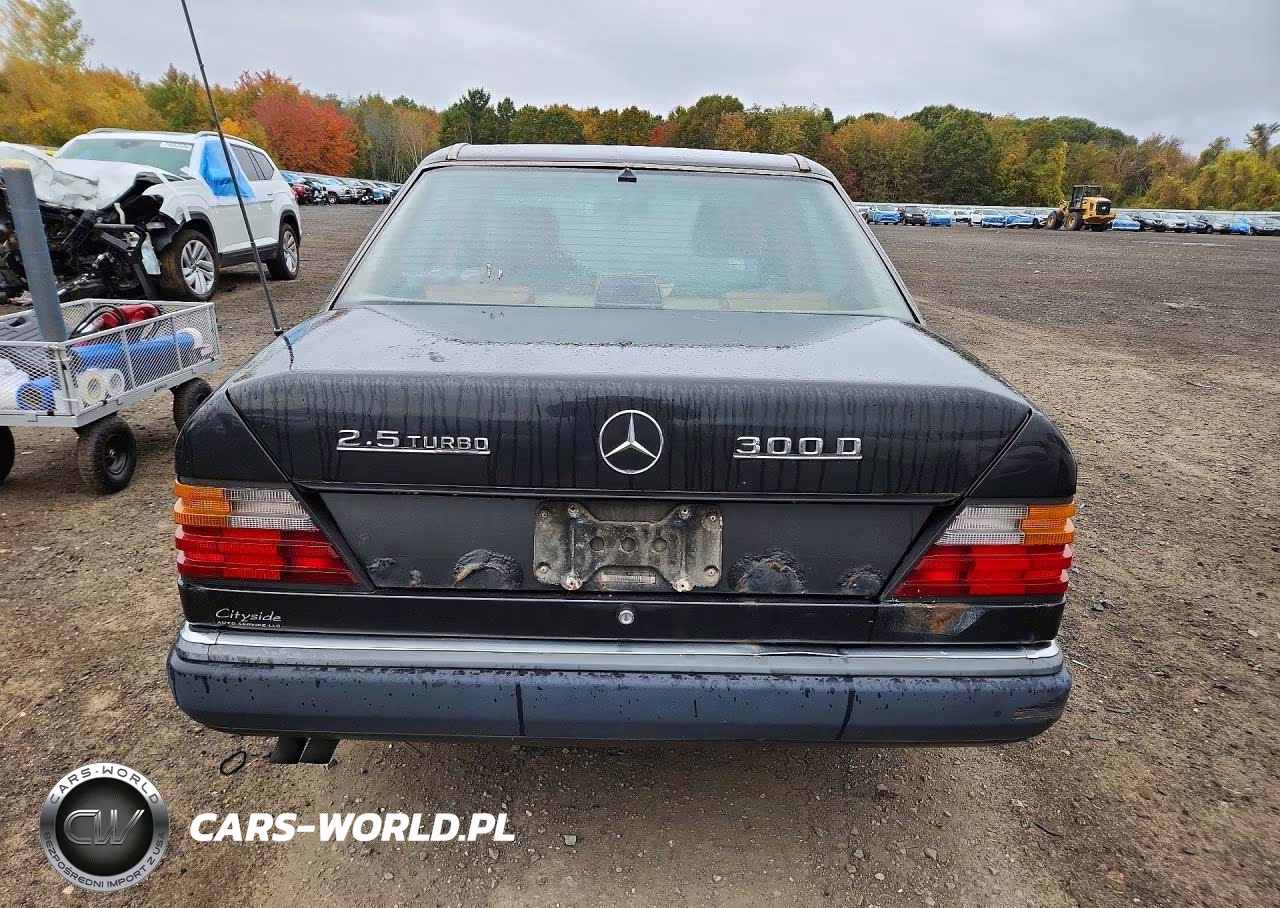 1990 Mercedes-Benz 300 D VIN:WDBEB28D6LB251969 - 6