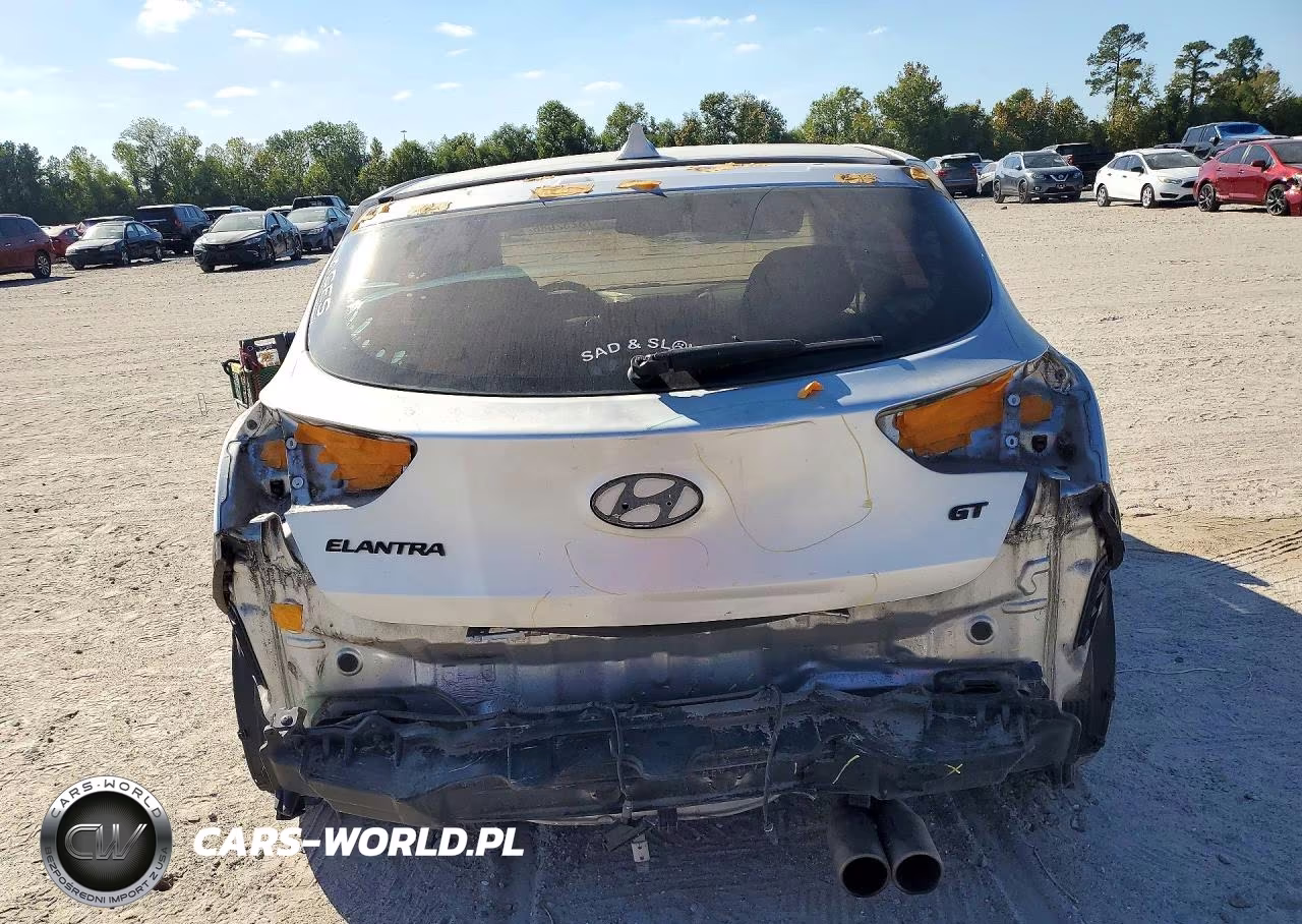 2013 Hyundai Elantra Gt Base VIN:KMHD35LEXDU022868 - 6