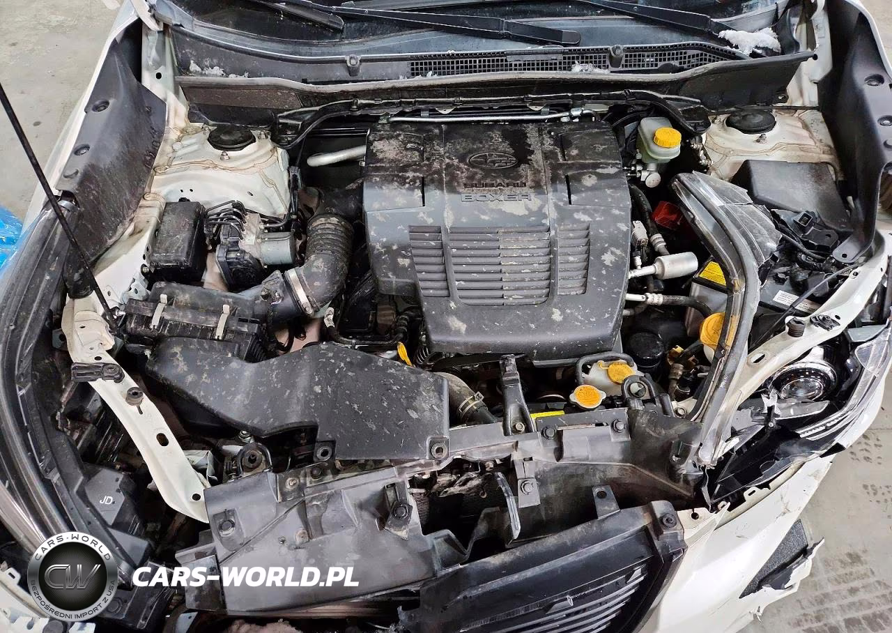 2019 Subaru Forester Sport VIN:JF2SKAKC6KH448720 - 12