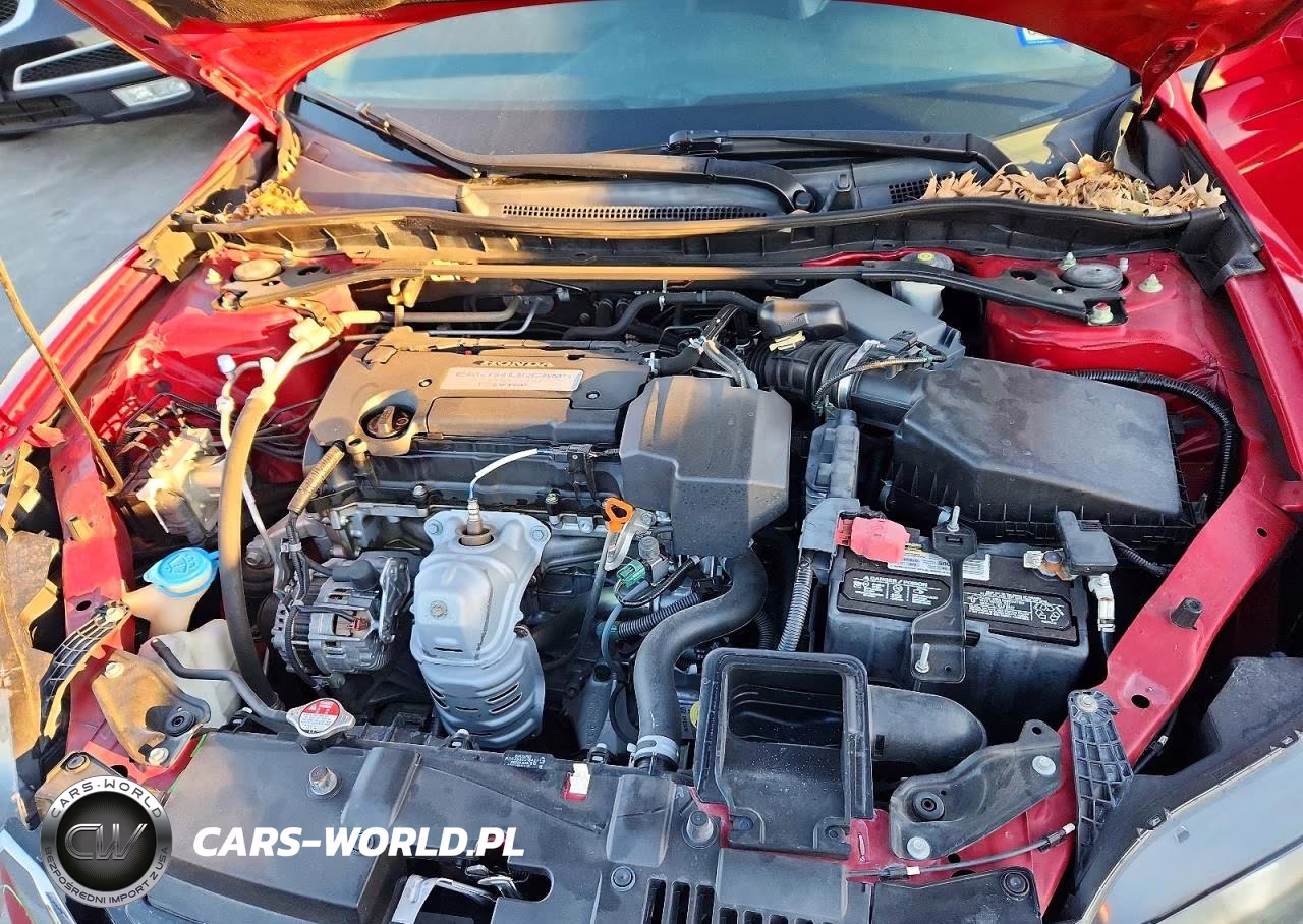 2013 Honda Accord Exl VIN:1HGCT1B84DA022162 - 11