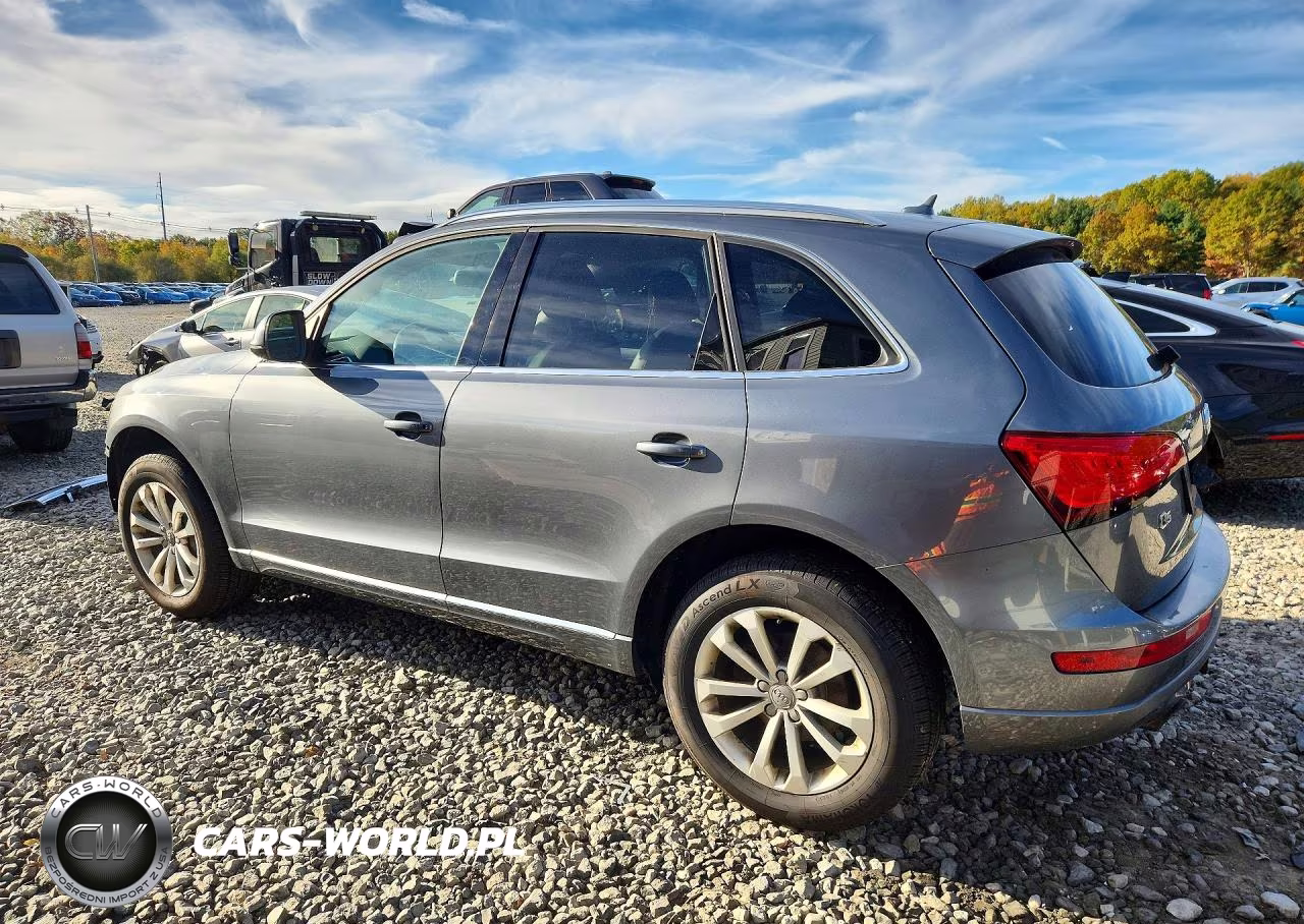2013 Audi Q5 Premium VIN:WA1CFAFP6DA026196 - 2