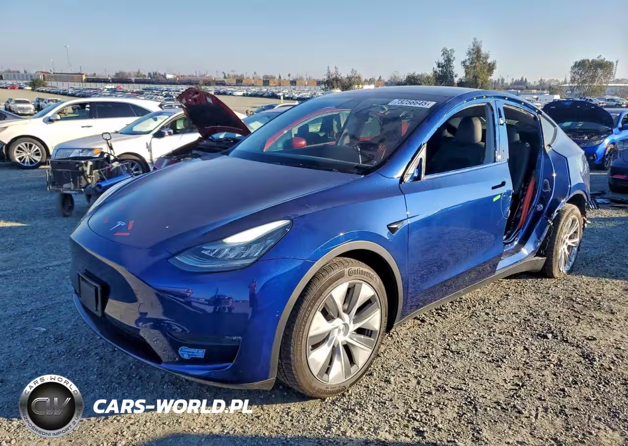 2021 Tesla Model Y