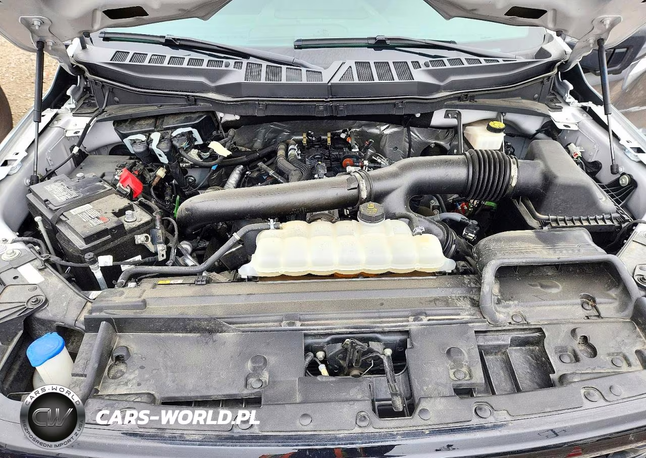 2024 Ford F150 Xlt VIN:1FTFW3L84RFB83652 - 11
