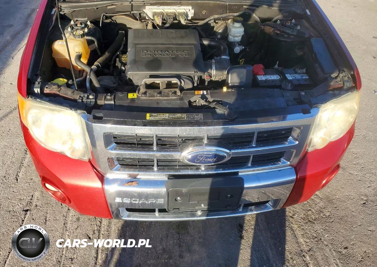 2009 Ford Escape Limited VIN:1FMCU04G89KB88479 - 12
