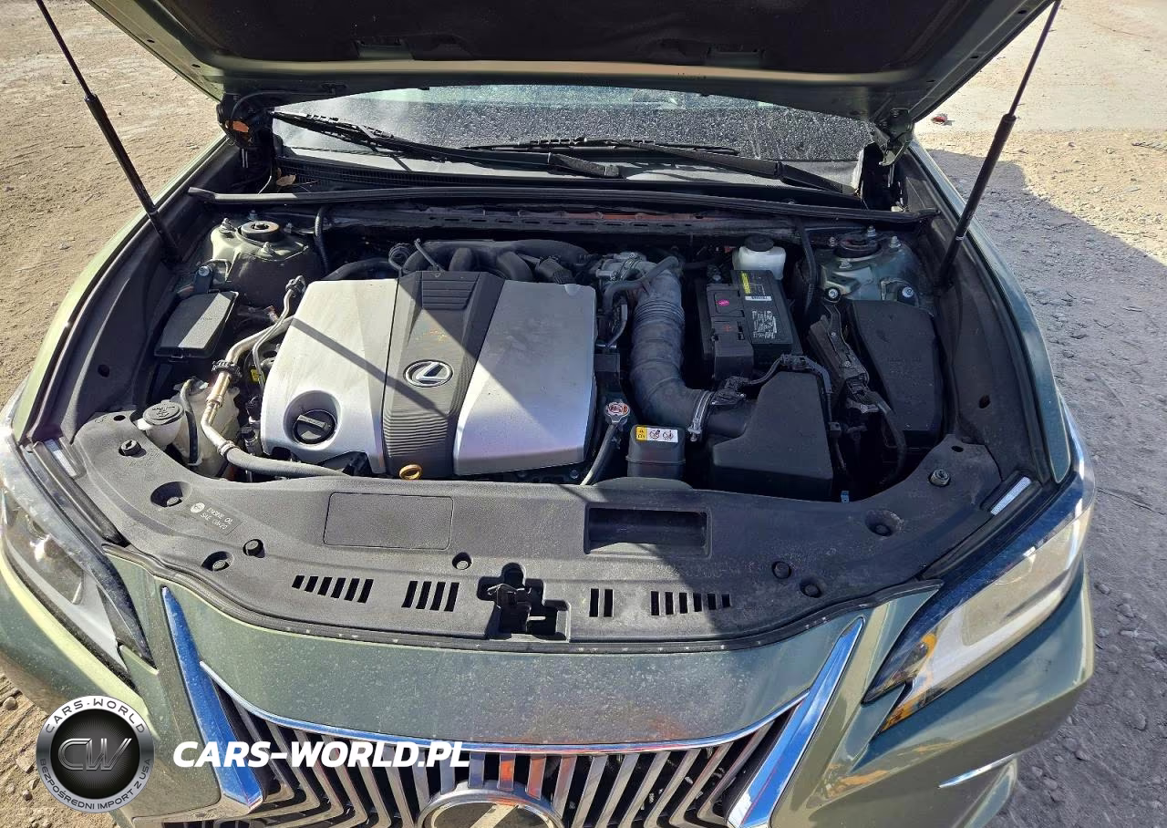 2019 Lexus Es 350 VIN:58ABZ1B11KU031896 - 11