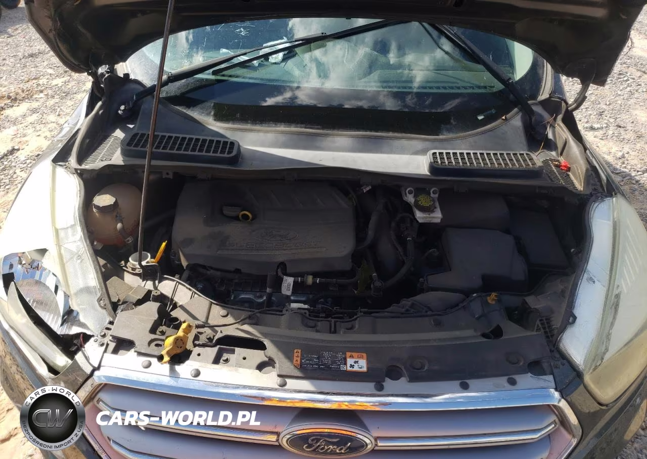 2017 Ford Escape Se VIN:1FMCU0GD8HUB45653 - 12
