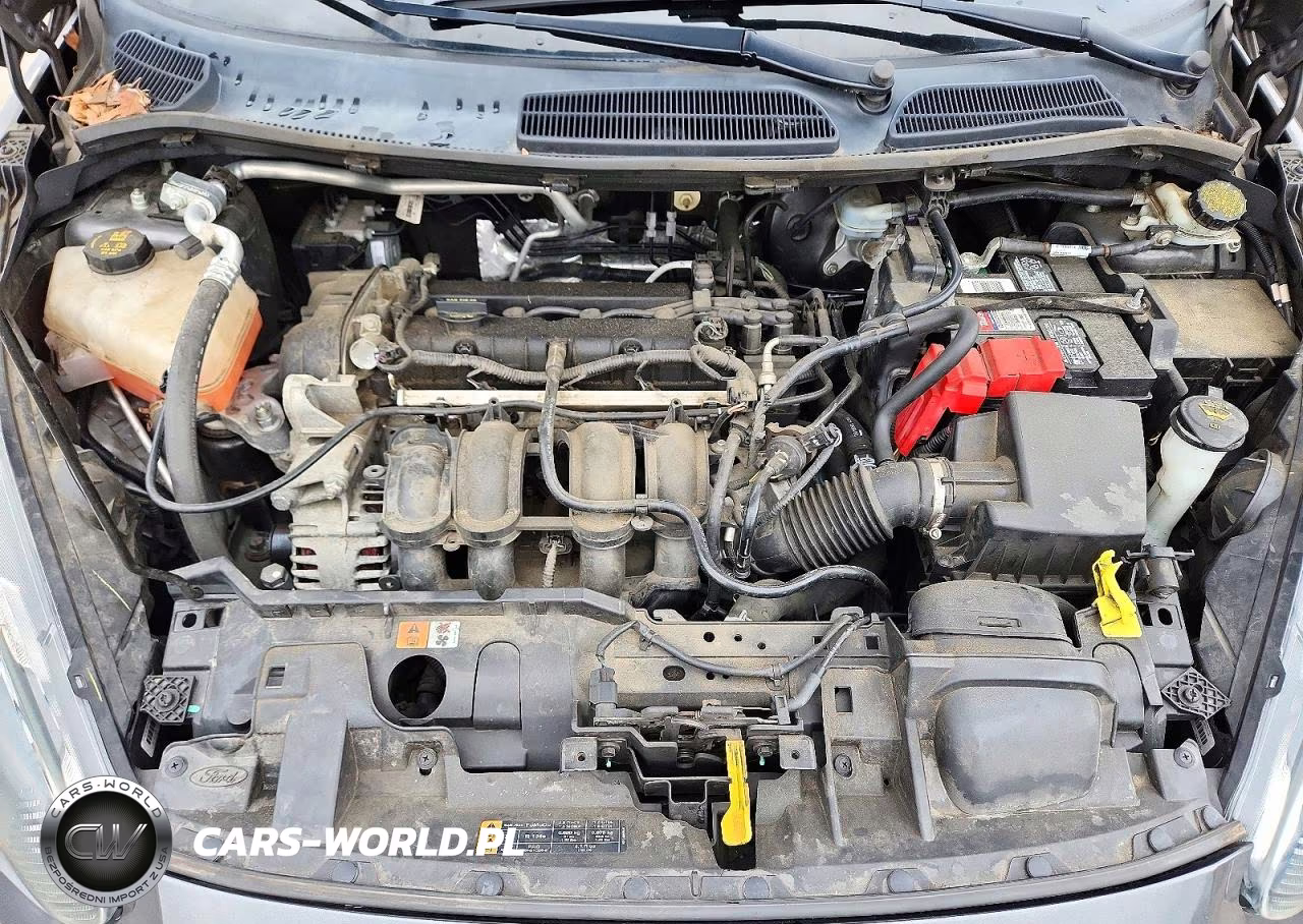 2015 Ford Fiesta Se VIN:3FADP4EJ4FM132731 - 11