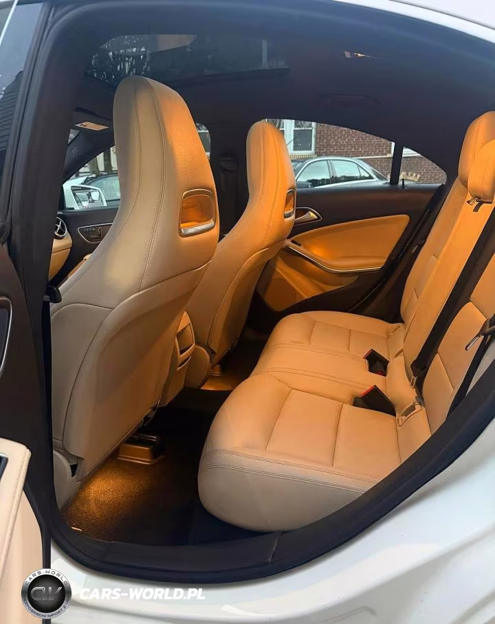 2014 Mercedes-Benz Cla 250 VIN:WDDSJ4EB6EN054491 - 10