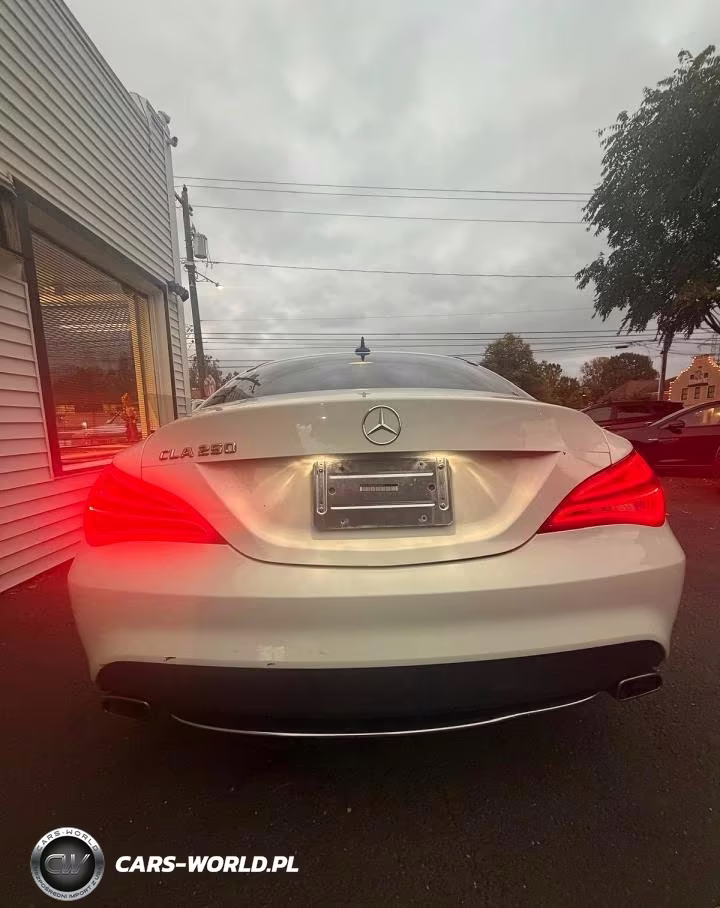 2014 Mercedes-Benz Cla 250 VIN:WDDSJ4EB6EN054491 - 2